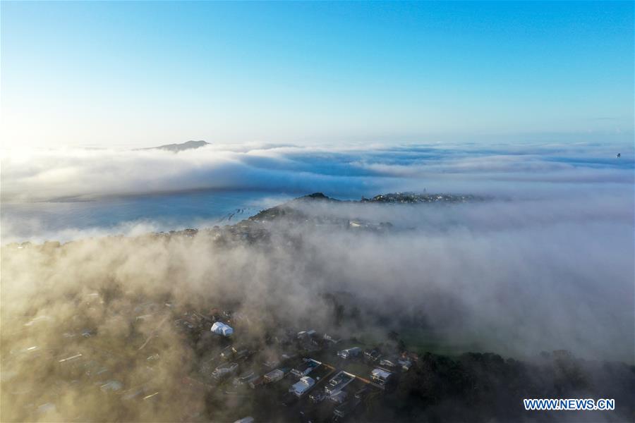 NEW ZEALAND-AUCKLAND-FOG