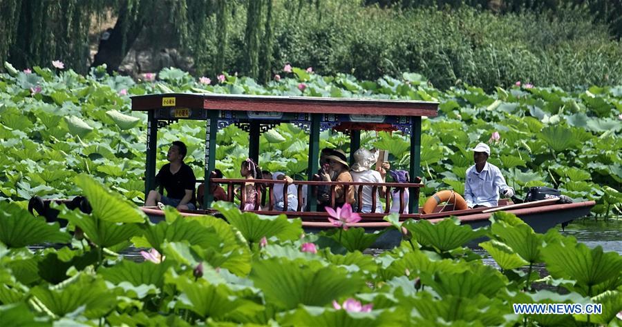 CHINA-BEIJING-YUANMINGYUAN-LOTUS-TOURISM (CN)