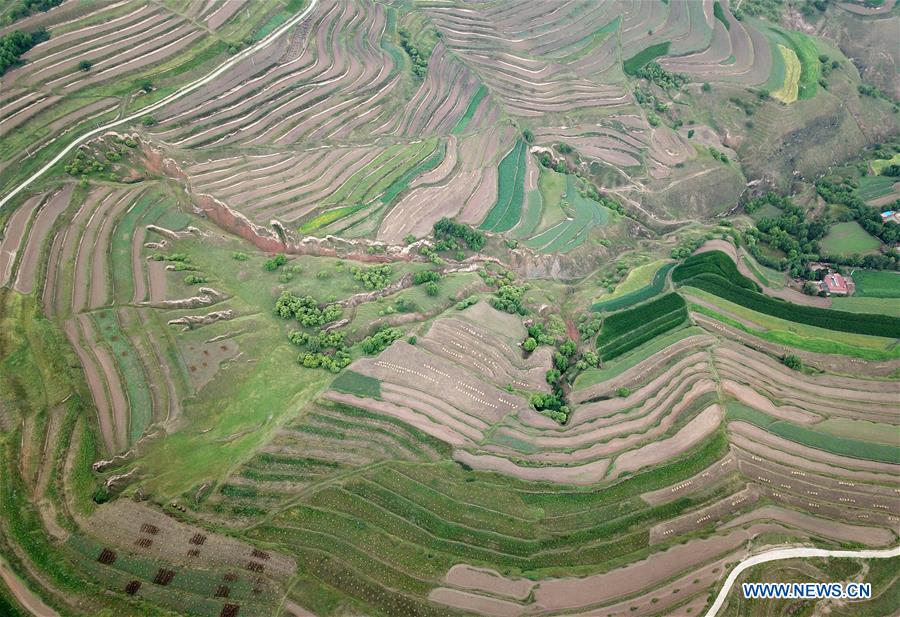 CHINA-GANSU-HUINING-TERRACED LANDS IN RAIN (CN)