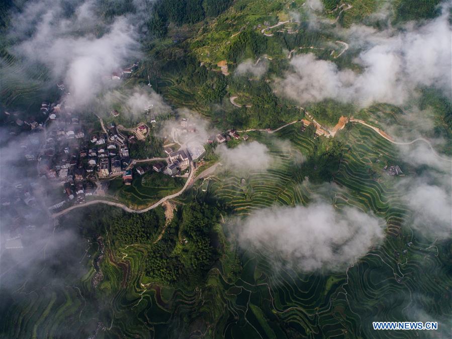 CHINA-ZHEJIANG-QINGTIAN-TERRACED FIELDS-ECOLOGICAL AGRICULTURE (CN)