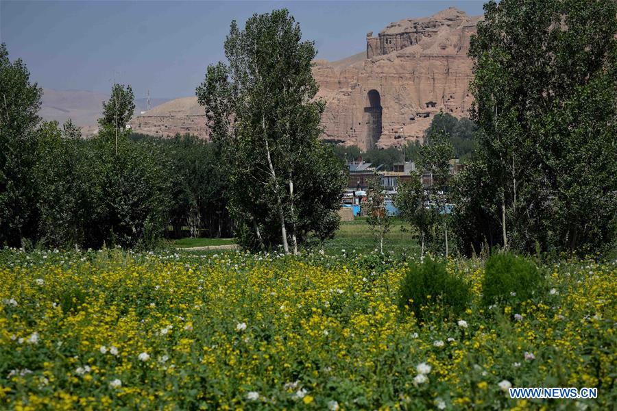 AFGHANISTAN-BAMYAN-POTATO BLOSSOM-FESTIVAL