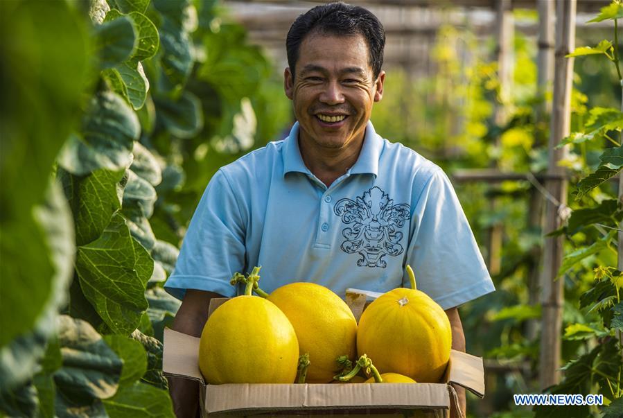 CHINA-AGRICULTURE DEVELOPMENT (CN)