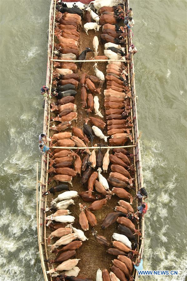 BANGLADESH-DHAKA-EID AL-ADHA-LIVESTOCK MARKET