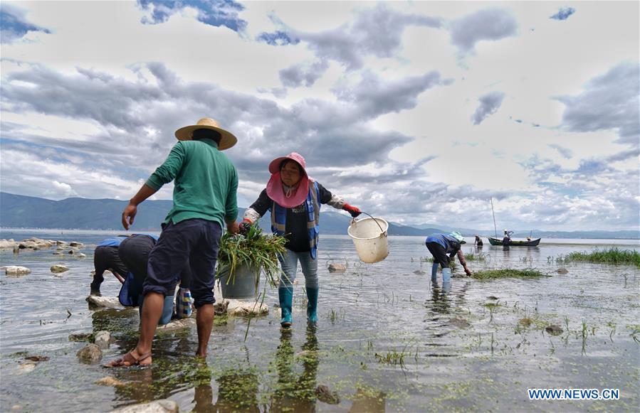 CHINA-YUNNAN-ERHAI LAKE-WATER QUALITY (CN)