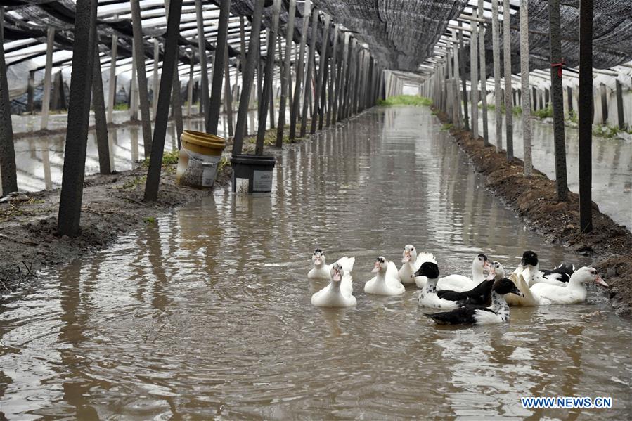 CHINA-SHANDONG-SHOUGUANG-TYPHOON-FLOOD (CN)