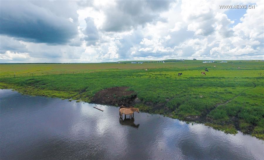 CHINA-INNER MONGOLIA-HULUN BUIR-SCENERY (CN)