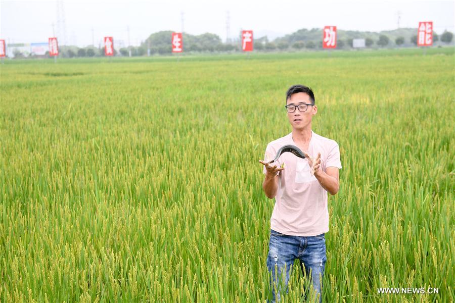 CHINA-ZHEJIANG-HUZHOU-ECO AGRICULTURE (CN)