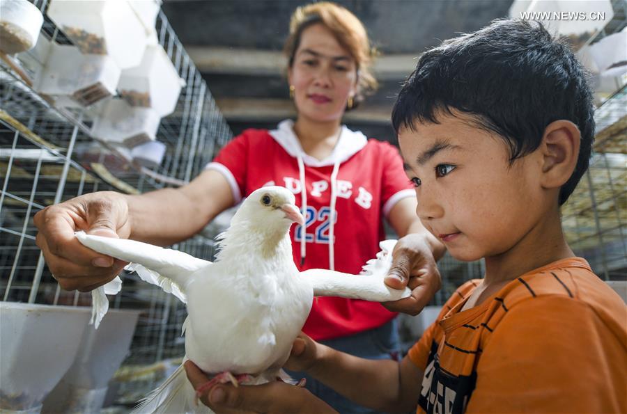 CHINA-XINJIANG-POVERTY ALLEVIATION (CN)