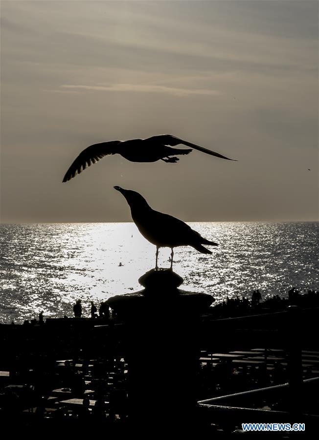 BRITAIN-BRIGHTON-BEACH