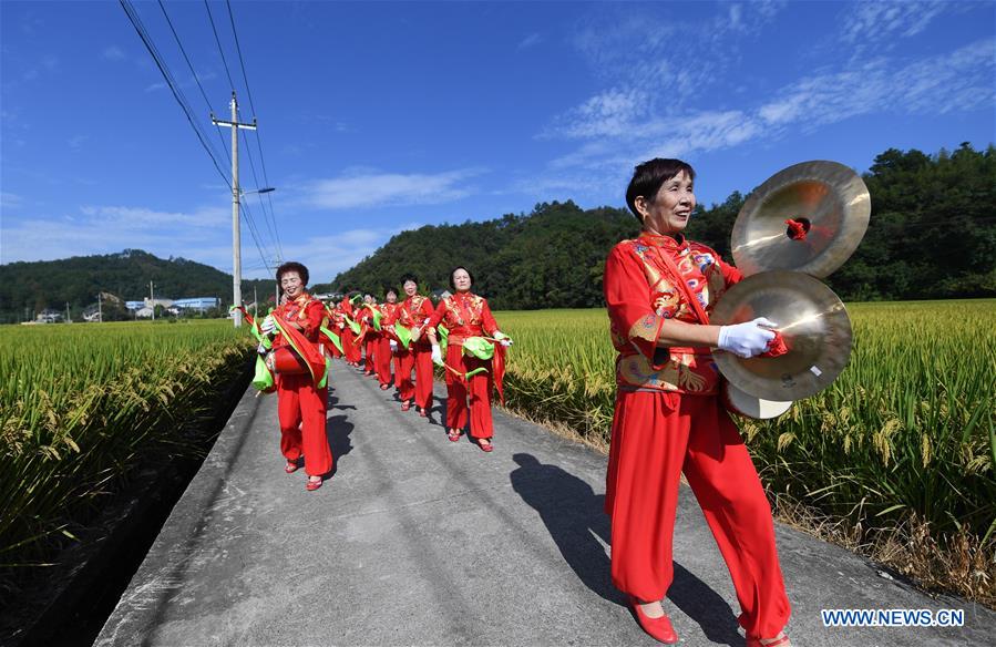 CHINA-ZHEJIANG-HANGZHOU-RICE-HARVEST (CN)