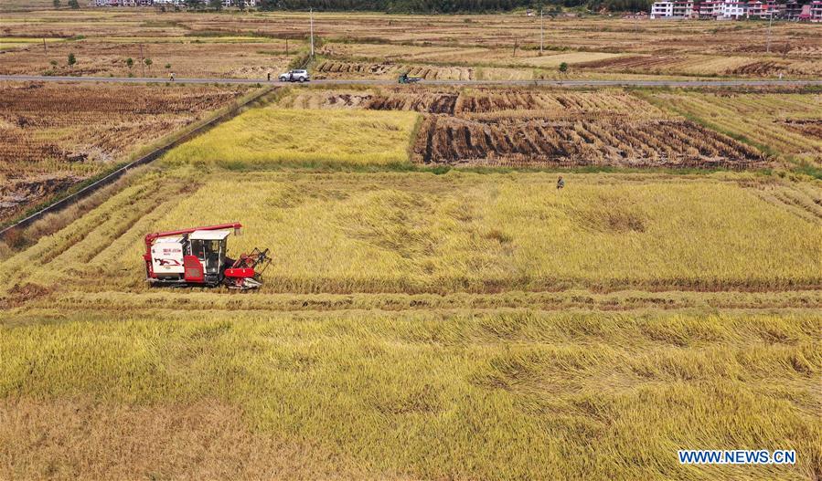 CHINA-HARVEST-AERIAL VIEW (CN)