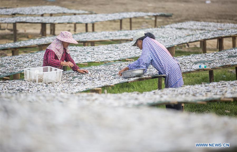 CHINA-JIANGXI-DRIED FISH (CN)