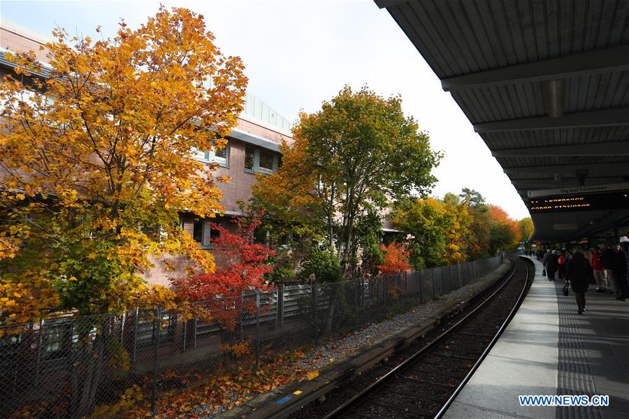 SWEDEN-STOCKHOLM-AUTUMN