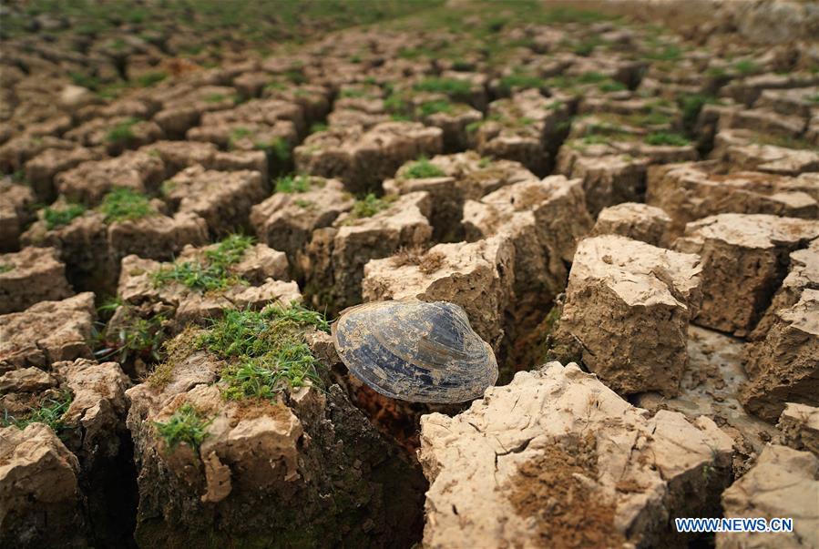 XINHUA PHOTOS OF THE DAY