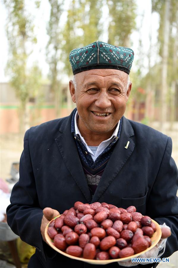 CHINA-XINJIANG-RED DATE-HARVEST (CN)