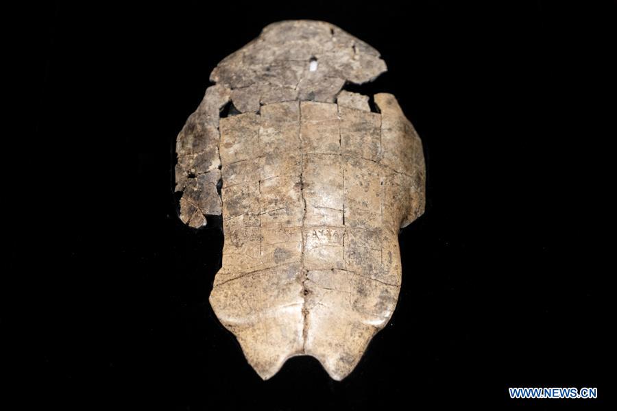 CHINA-BEIJING-ORACLE BONE INSCRIPTION-EXHIBITION (CN)