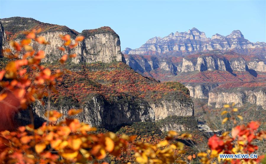 CHINA-HEBEI-PINGSHAN COUNTY-AUTUMN SCENERY-RED LEAF (CN)