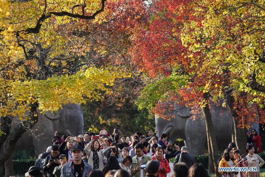 CHINA-NANJING-AUTUMN-XIAOLING MAUSOLEUM-SCENERY (CN)