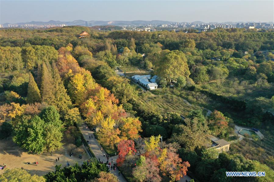 CHINA-NANJING-AUTUMN-XIAOLING MAUSOLEUM-SCENERY (CN)