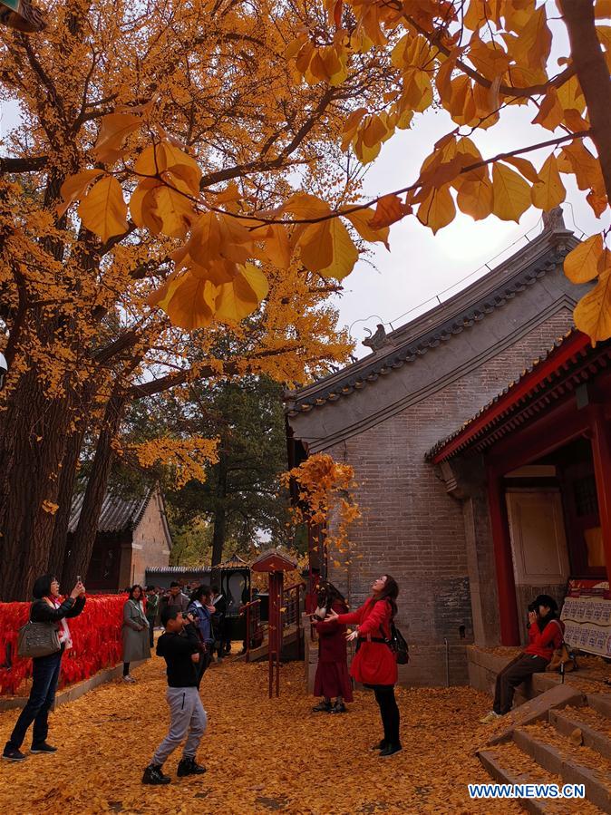 (BeijingCandid)CHINA-BEIJING-AUTUMN (CN)