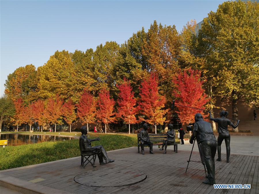 (BeijingCandid)CHINA-BEIJING-AUTUMN (CN)