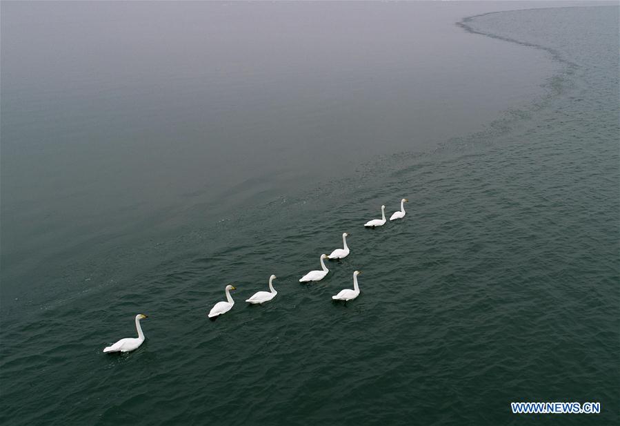 CHINA-SHAANXI-SHENMU-HONGJIANNAO LAKE-SCENERY (CN)