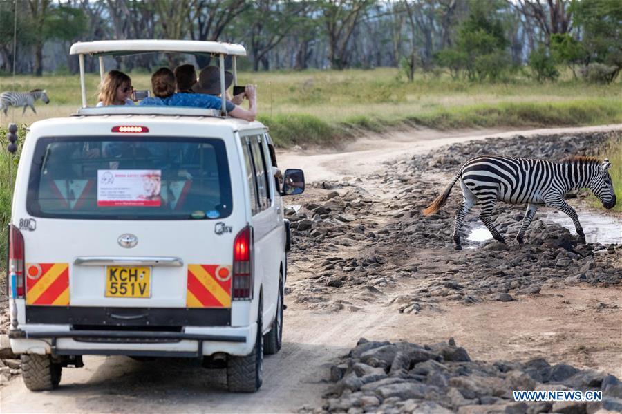 KENYA-LAKE NAKURU NATIONAL PARK-NEW YEAR HOLIDAY