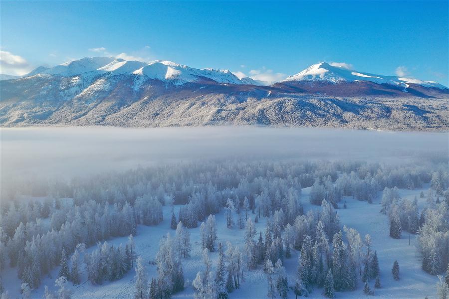 CHINA-XINJIANG-KANAS-WINTER SCENERY (CN)