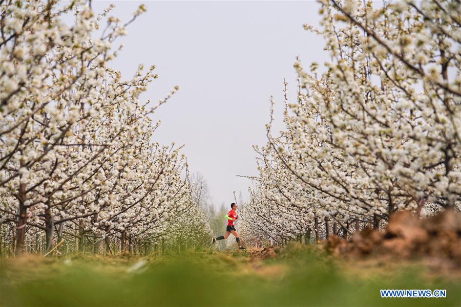 (SP)XINHUA-PICTURES OF THE YEAR 2019-SPORT