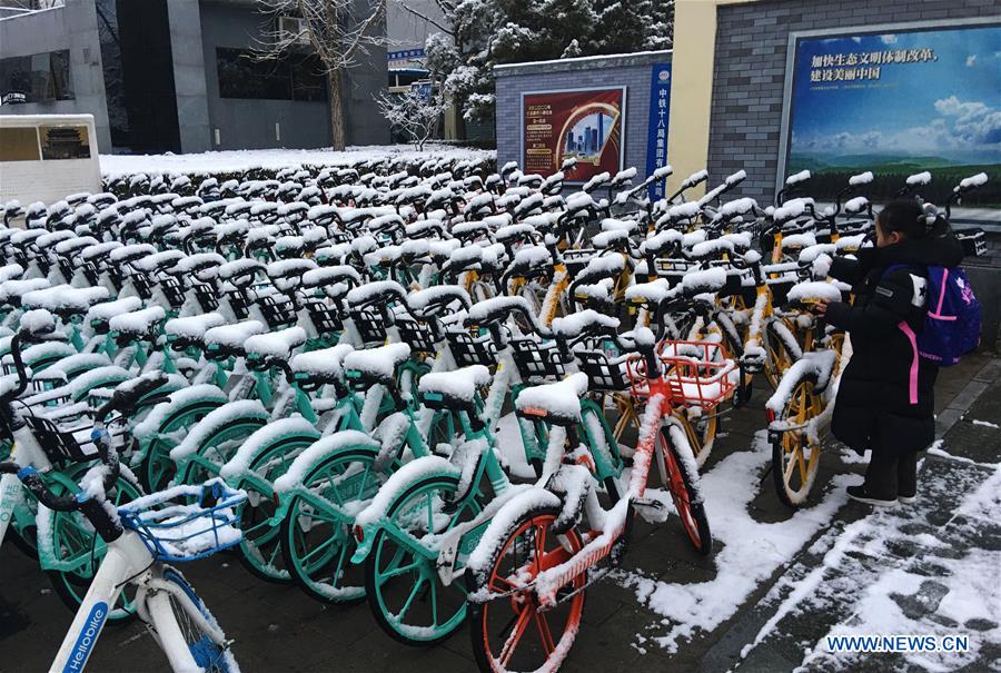 CHINA-BEIJING-SNOW SCENERY (CN)