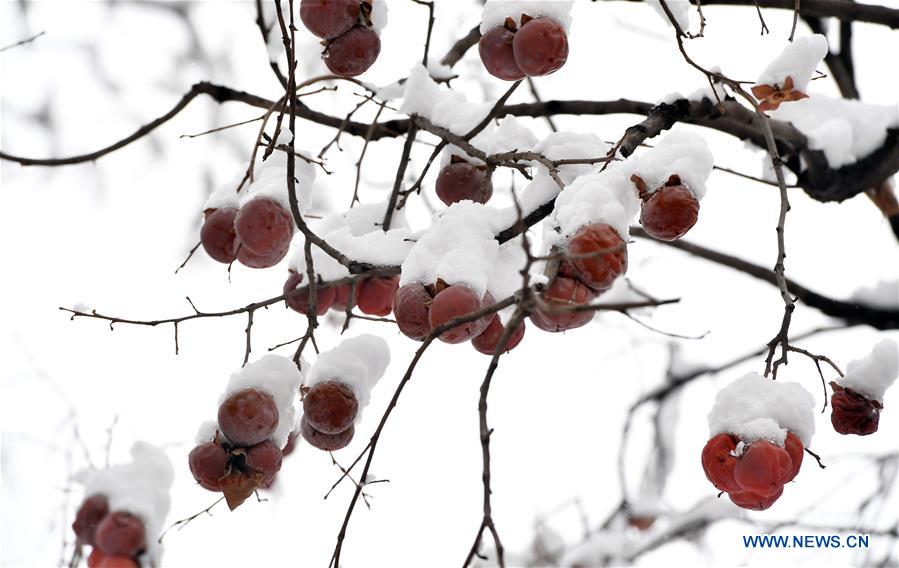 CHINA-HENAN-SANMENXIA-WINTER SCENERY (CN)