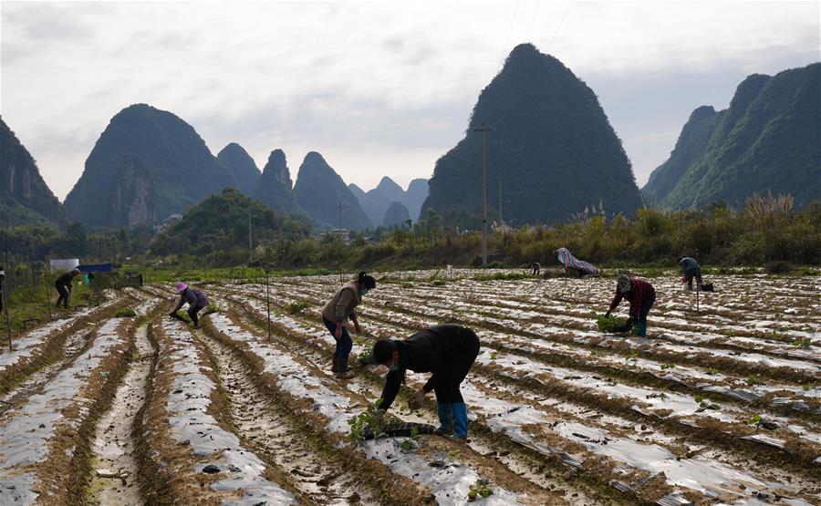 CHINA-SPRING PLOUGHING-AGRICULTURAL PRODUCTION (CN)