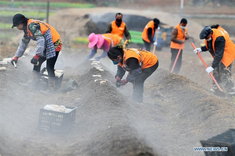 CHINA-GUIYANG-SPRING-AGRICULTURE (CN)