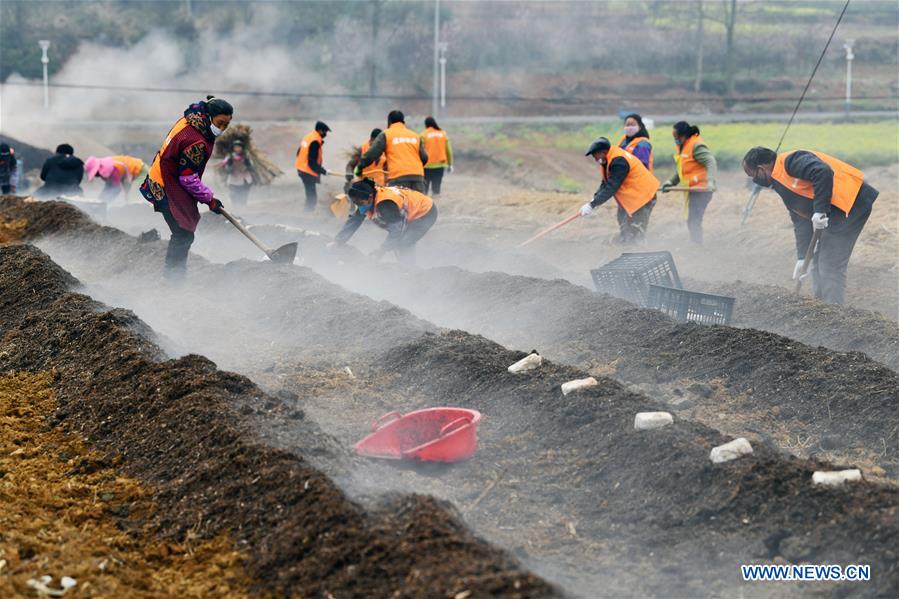 CHINA-GUIYANG-SPRING-AGRICULTURE (CN)