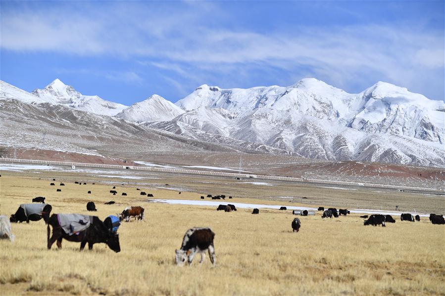 CHINA-TIBET-SNOW SCENERY (CN)