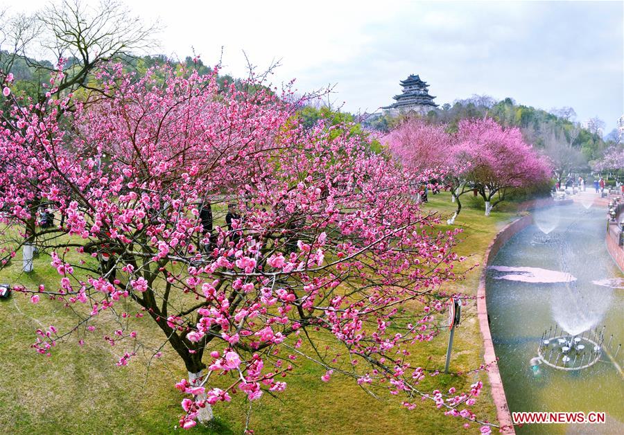 #CHINA-SPRING-FLOWER (CN)