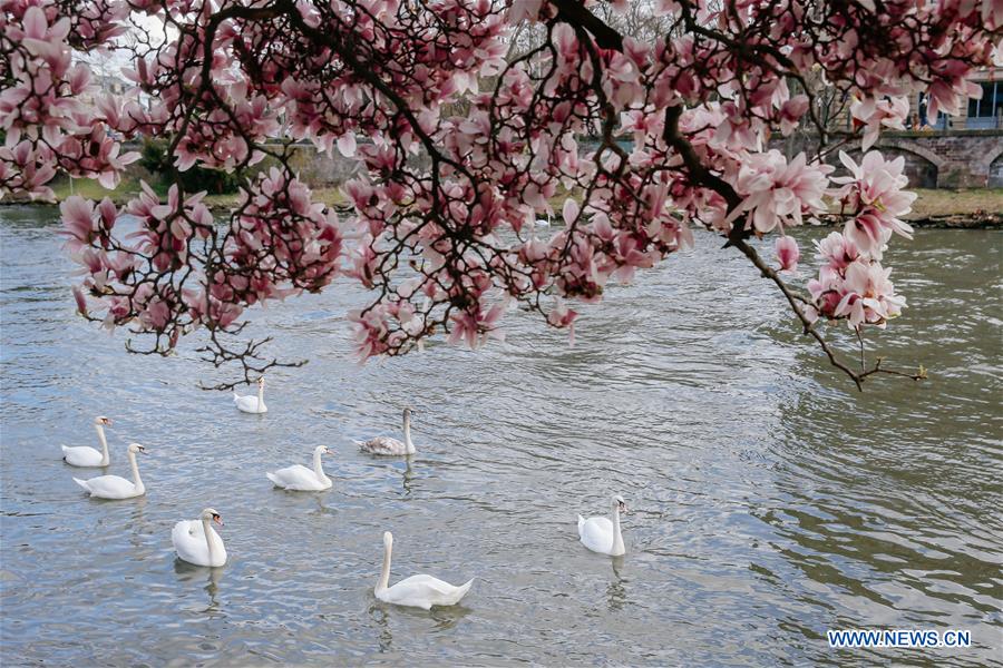 FRANCE-STRASBOURG-SPRING