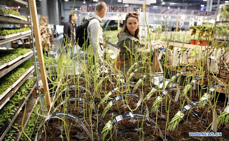 NORWAY-LILLESTROM-OSLO GARDEN SHOW