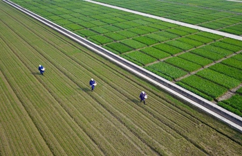 Farmers busy with farm work in early spring across China