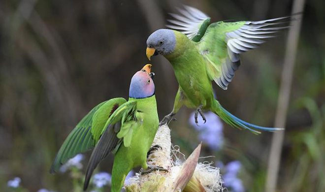 In pics: harmony between animals and nature