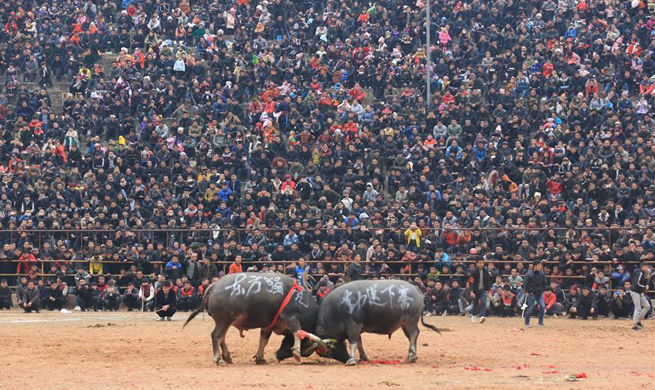 Various activities held across China to greet Chinese Spring Festival