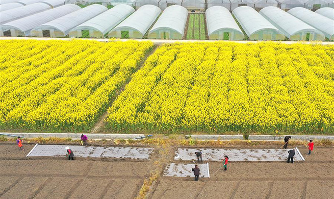 Spring ploughing underway in many areas of China amid COVID-19 fight