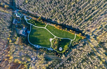 Aerial views of Binhu forest park in Hefei, China's Anhui