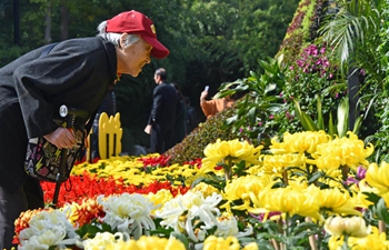 People enjoy chrysanthemums at park in Jinan, China's Shandong