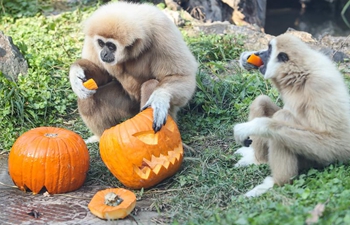 In pics: animals in zoo of Zagreb, Croatia