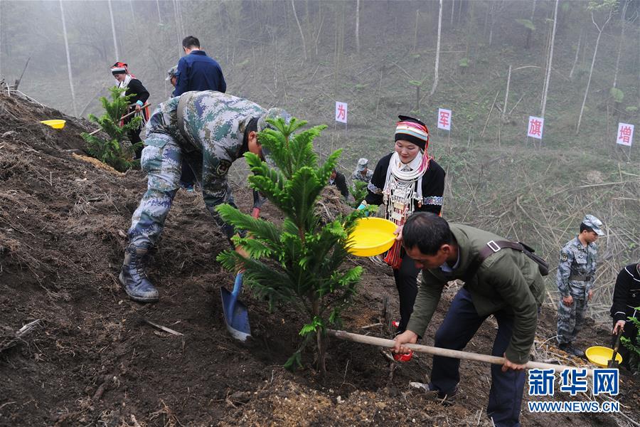 （圖文互動(dòng)）（6）和平年代，離死神最近的人——南部戰(zhàn)區(qū)陸軍云南掃雷大隊(duì)邊境掃雷排爆記事