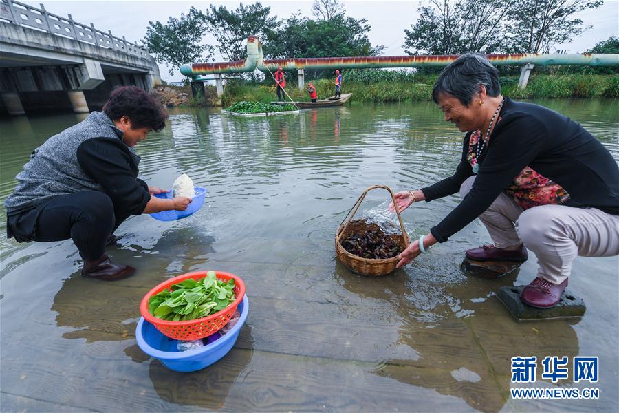 （砥礪奮進的五年·長江經(jīng)濟帶）（1）江南水鄉(xiāng)“河長制” 共護鄉(xiāng)村一池清水