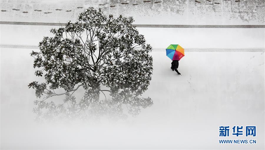 #（環(huán)境）（3）我國多地迎來強降雪