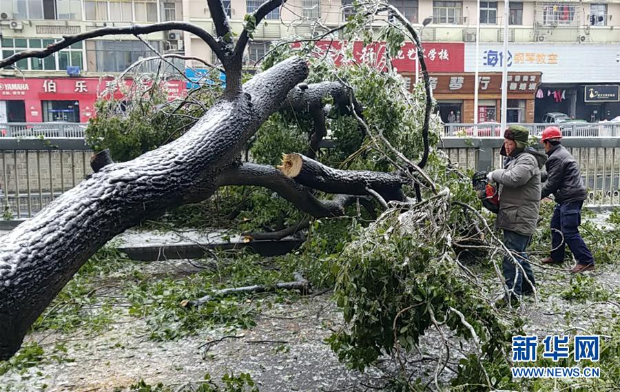 （新華全媒頭條）（7）雨雪冰凍中，他們奮力前行——基層黨員干群抗擊冰雪災(zāi)害紀(jì)實(shí)