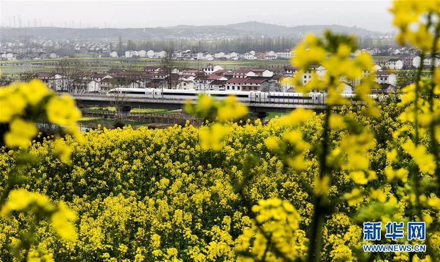 （環(huán)境）（1）駛向花海